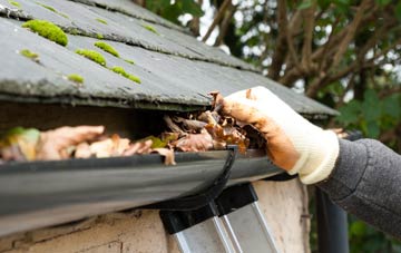 gutter cleaning Holme Green